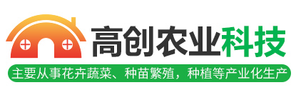 <strong>濟(jì)寧藝水芳源生態(tài)水族設(shè)備有限公司</strong>